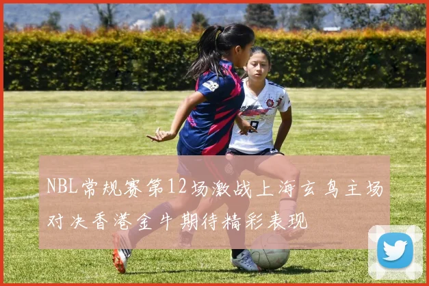 NBL常规赛第12场激战上海玄鸟主场对决香港金牛期待精彩表现